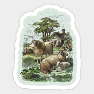 Farm Animals Country Life Illustration Sticker